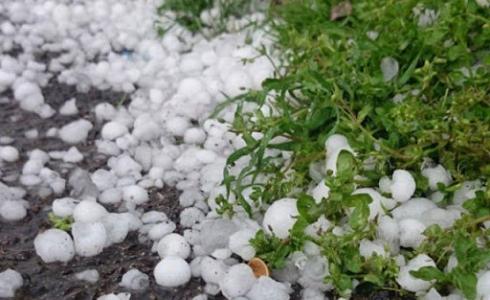 تساقط حبات البرد شمال السعودية