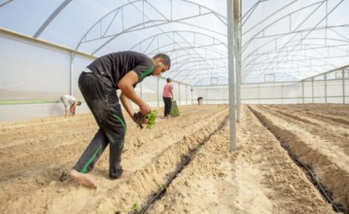 نادي رواد أعمال الغد