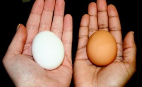 البيض الأبيض والبني
