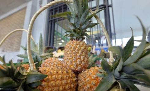 فاكهة الاناناس