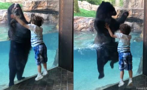 صورة من مقطع الفيديو