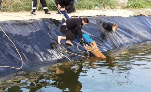  إنقاذ كلبين عالقين داخل بركة لتجميع مياه الأمطار في غزة