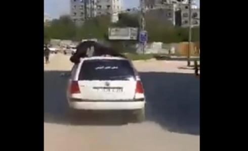 شرطى يعتلى سيارة مخالفة بغزة
