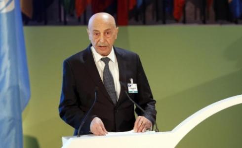 المستشار عقيلة صالح عيسى