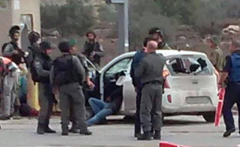 مستوطنين يهاجمون المواطنين