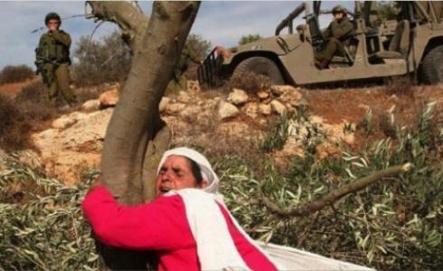 التمسك بالأرض