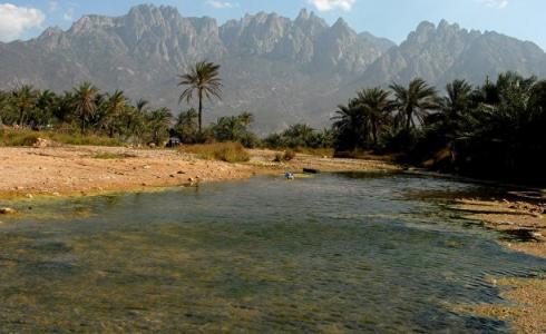الامارات تؤكد أن السلطات اليمينة هي من تسيطر على الحكم المحلي والاتحادي وتنفي وجود سجون سرية 