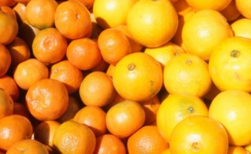 الجريب فروت الأحمر