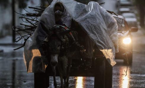 أجواء باردة ومنخفض جوي في فلسطين - أرشيف