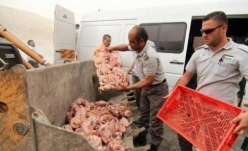 حبش مهرب / ارشيفية