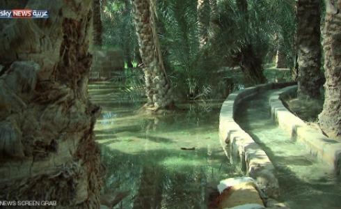 الأفلاج.. معلم المنطقة الشرقية في الإمارات