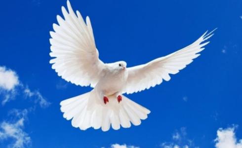 رمز السلام