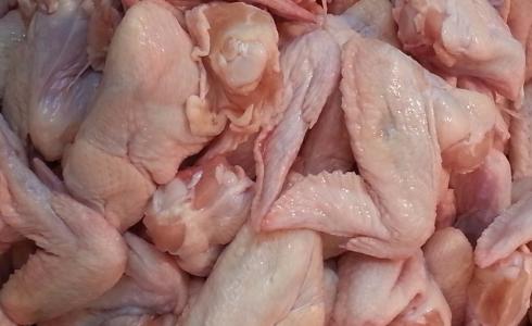 سعر الدجاج اليوم في غزة