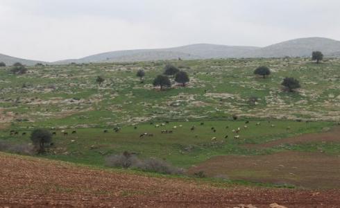 الاحتلال يواصل تسييج مساحات واسعة من اراضي الاغوار