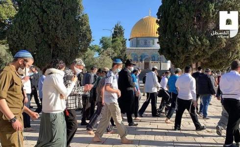 مستوطنون يقتحمون الأقصى وسط حراسة مشدد