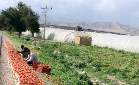 الزراعة تقدم إرشادات للتعامل مع المنخفض الجوي