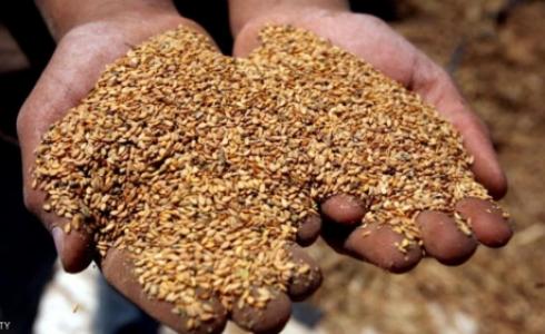 حمية غذائية لخسارة الوزن