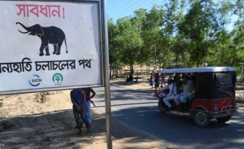 لافتة تحذر من الأفيال البرية بالقرب من مركز لإيواء الروهينغا