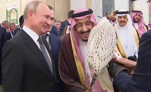 الطائر الذي أهداه بوتين للملك سلمان