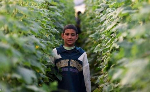 تراجع الاهتمام بالتقويم الفرعوني المصري