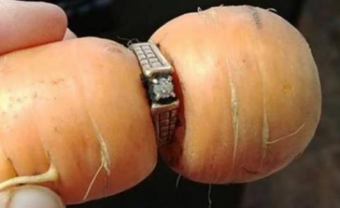 فقدت خاتمها 