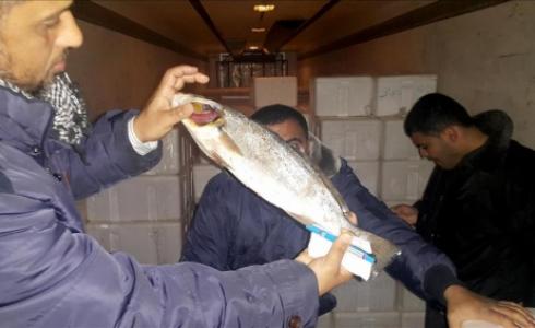 دخول سمك واسمنت عبر معبر رفح