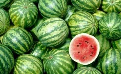  منع استيراد البطيخ من اسرائيل