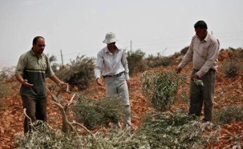مستوطنون / ارشيفية