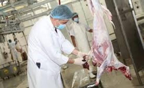 ذبائح "ارشيفية"