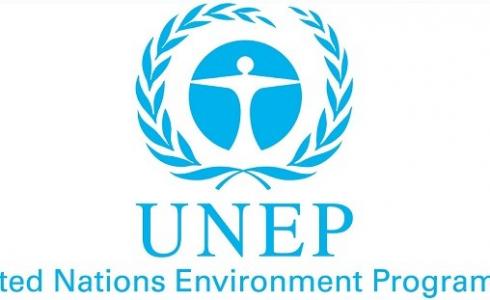 المنظمة الدولية لبرنامج الأمم المتحدة للبيئة