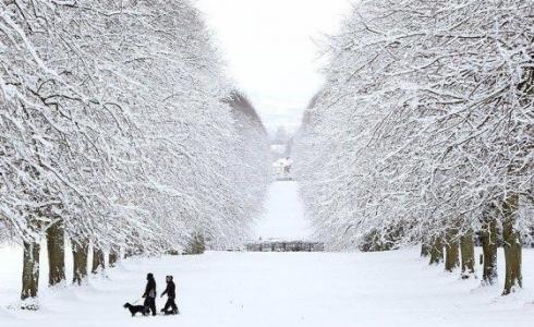 الصقيع في أوروبا 