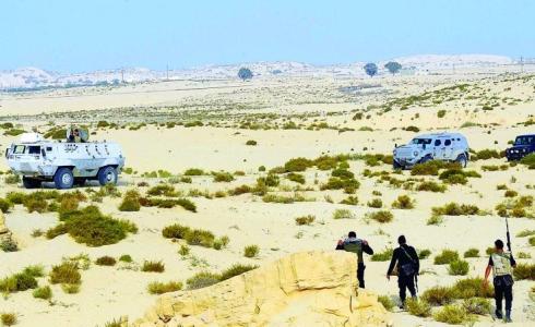 سيناء- ارشيف