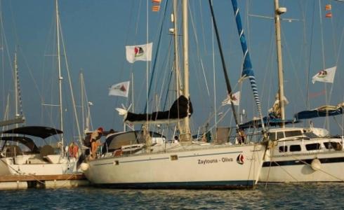 سفينة زيتونة