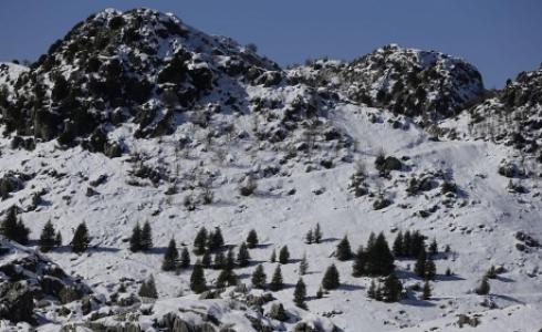 الثلوج تكسو جبال لبنان - 17 ينيار 2017.