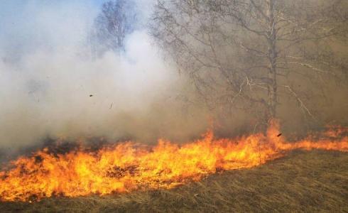 حريق يأتي على دونمات زراعية في الأغوار الشمالية - أرشيفية