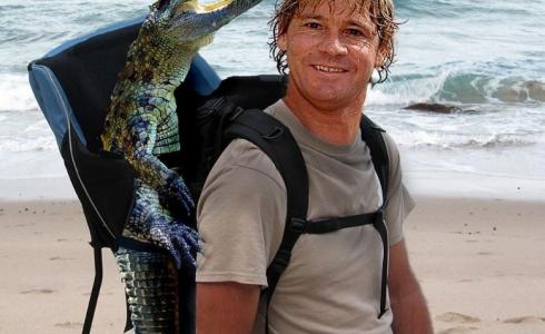 العالم ستيف إروين steve irwin