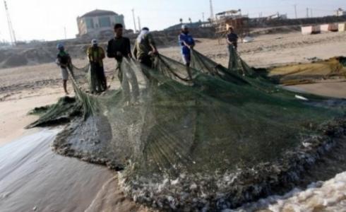 أسماك في غزة