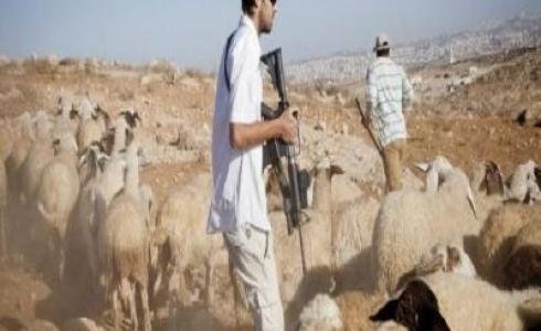 مستوطنون يمنعون رعاة أغنام من دخول أراضي الحمة بالأغوار
