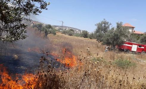 إخماد حريق أشجار كبير في بيت قاد شرق جنين