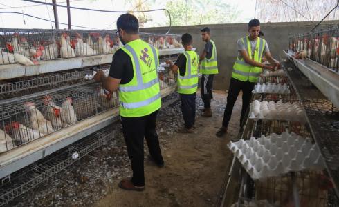 مشاريع إغاثية في غزة