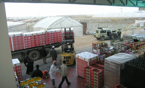 طرود غذائية 