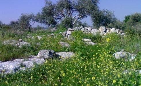 البيئة تدعو لزيارة المحميات الطبيعية لتعزيز الوجود الفلسطيني 