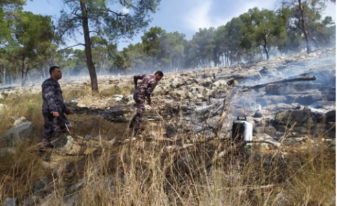 حرائق في اسرائيل