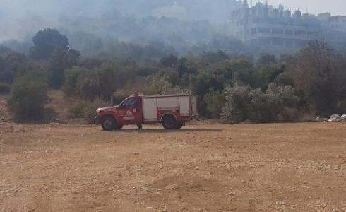 من حريق ام الفحم