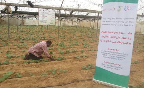 الاغاثة الزراعية تستصلح 60 دونم