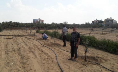 المزارعين المتضررين في المناطق الشرقية لمحافظة خانيونس