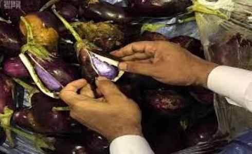 تهريب شحنة مخدرات 