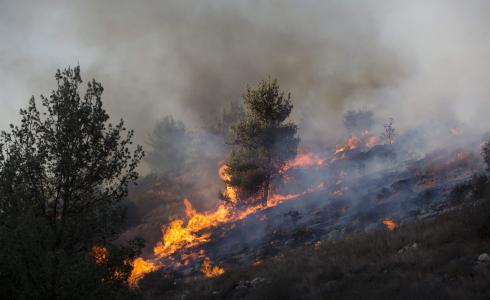 الاحتلال يتسبب باحتراق حقول زراعية وأشجار في نابلس وجنين