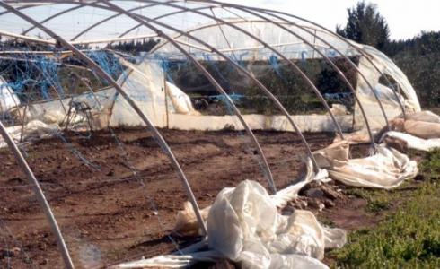 تضرر دفيئات زراعية نتيجة المنخفض الجوي - ارشيف