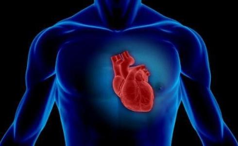 قلب انسان _ توضيحية